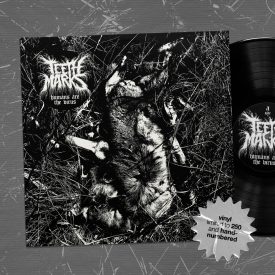 Teeth Marks “HATV” LP vinyl