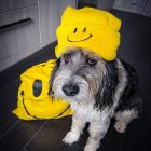 TSO “TSO CREW” beanie - Yellow